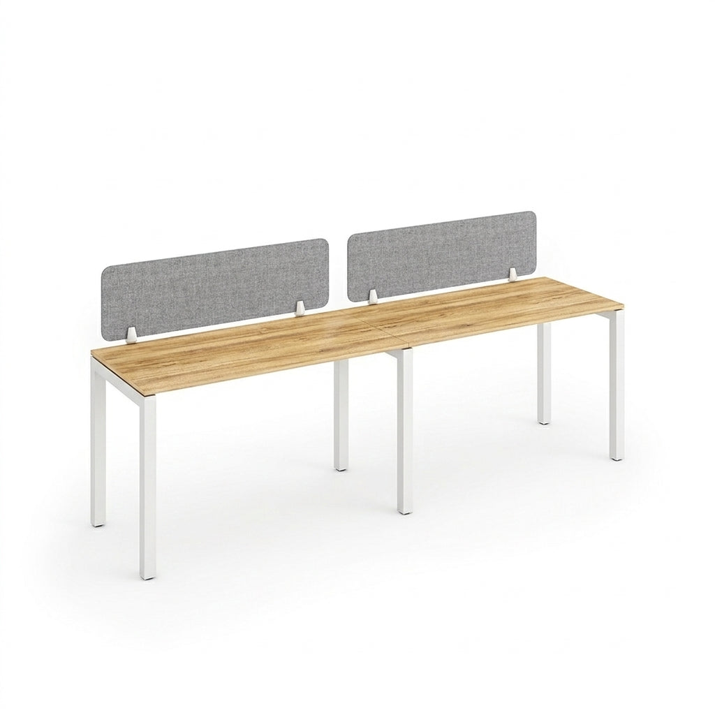 Side-by-Side Workstation for Two Person – WS-SB2P-POINT