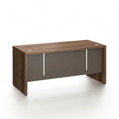 Straight Desk with Aluminum Strip – DG17