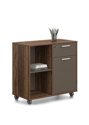 Office furniture supplier in UAE | File drawer | Storage solution