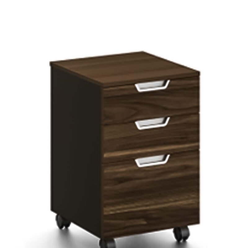 Office furniture supplier in UAE | File drawer | Storage solution